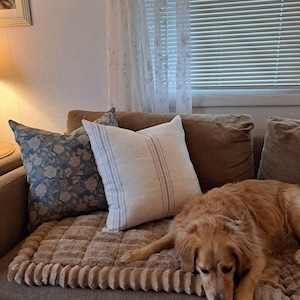 Andrea added a photo of their purchase