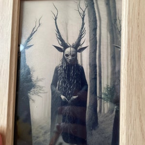 Kass added a photo of their purchase