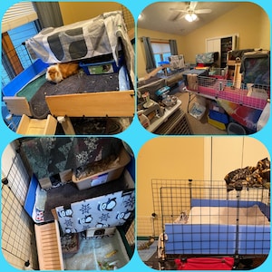 Jaime added a photo of their purchase