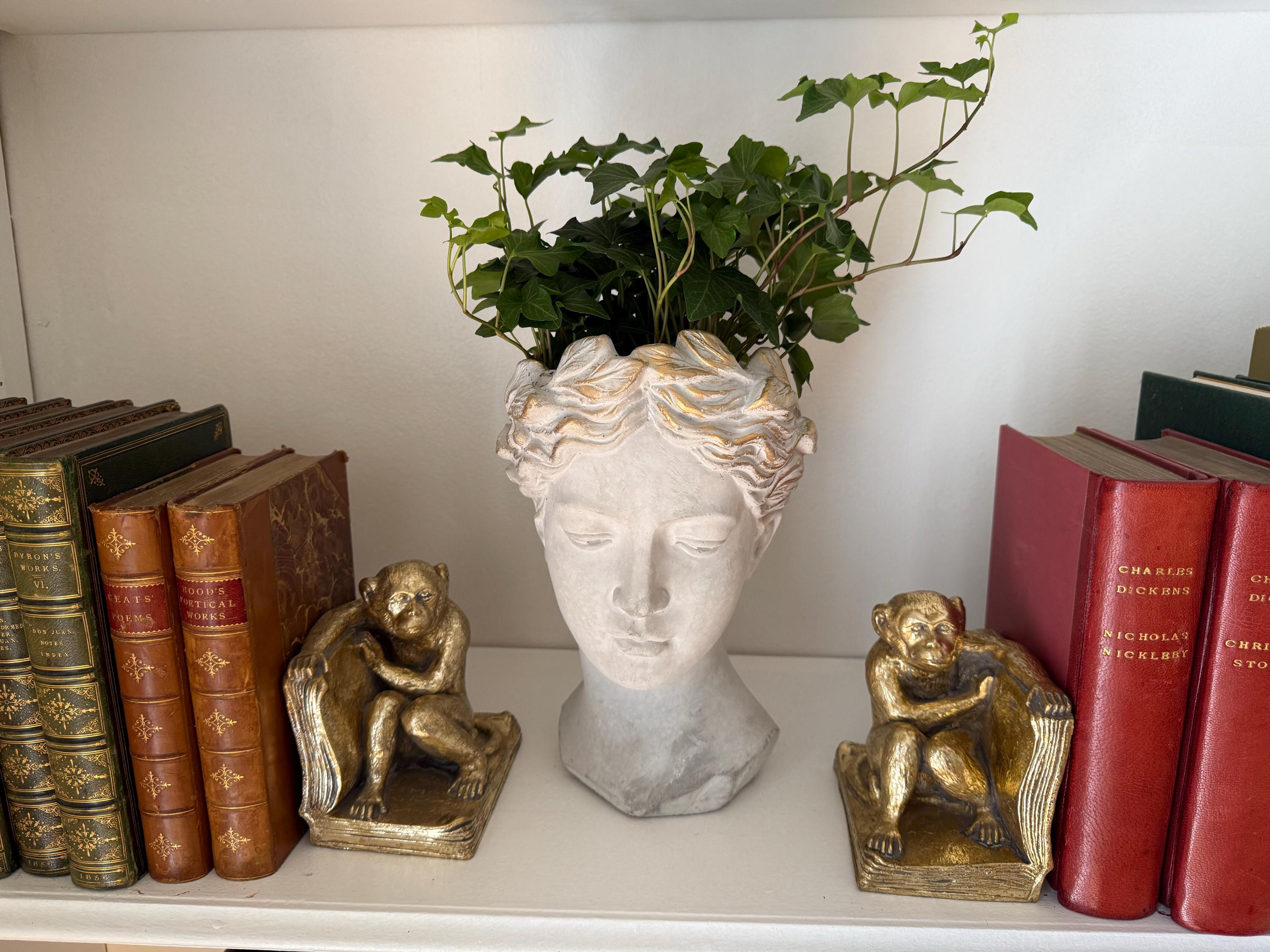 Carolyn added a photo of their purchase