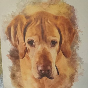 Emily added a photo of their purchase