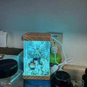 K added a photo of their purchase