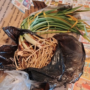 Sharon added a photo of their purchase