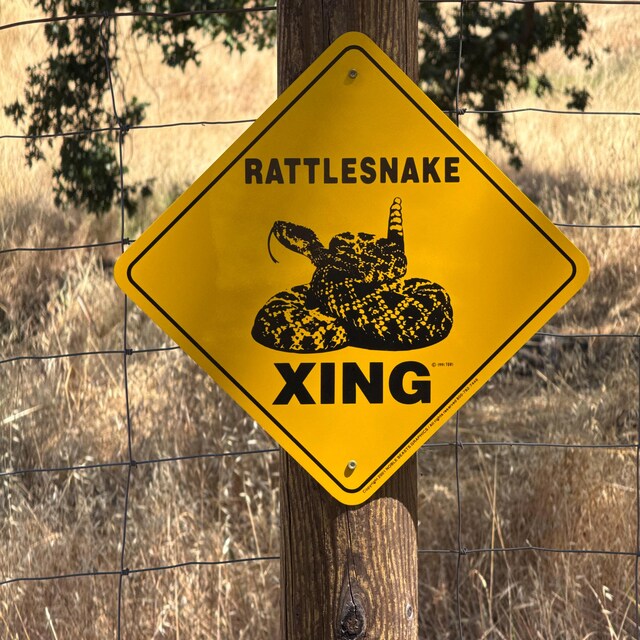 Rattlesnake Xing Sign Aluminum 12
