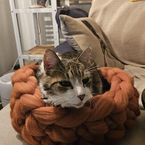 wendy added a photo of their purchase