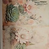 Cactus Embroidered Seamless Patterns Desert Blooms Digital Papers ...