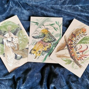 Romy added a photo of their purchase