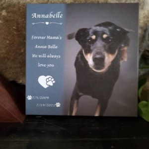 Emily added a photo of their purchase