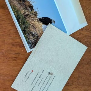 Kim ha aggiunto una foto del proprio acquisto