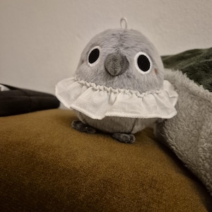 Anita added a photo of their purchase