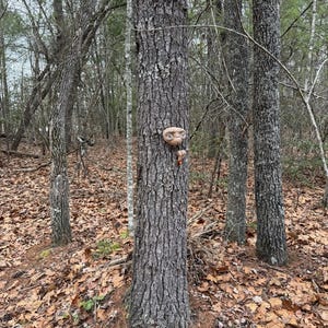 Kourtney added a photo of their purchase