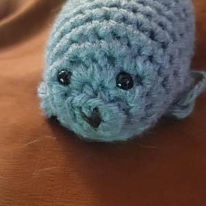 Kelsey a ajouté une photo de son achat