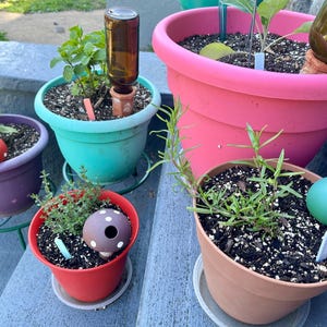 Julie added a photo of their purchase
