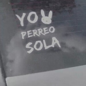 Download YO PERREO SOLA decal sticker | Etsy