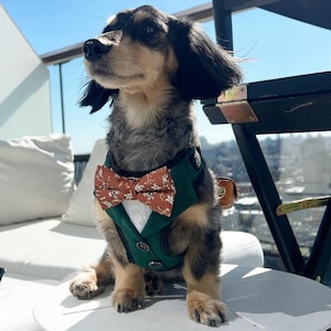 Alexis a ajouté une photo de son achat