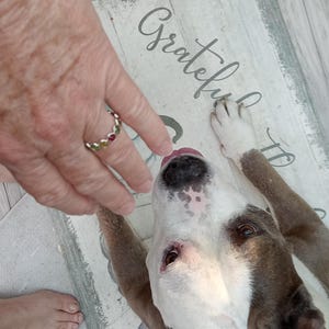 Bugsy ha añadido una foto de su compra