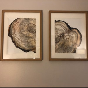 Lynne hat ein Foto des gekauften Artikels hinzugefügt