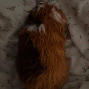 zoey hat ein Foto des gekauften Artikels hinzugefügt