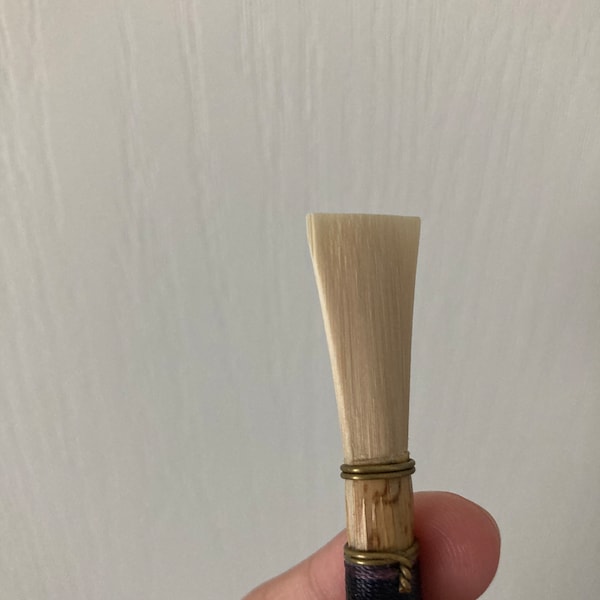 Unfinished Bassoon Reed - Etsy