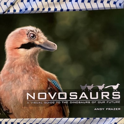 NOVOSAURS Book - Etsy UK