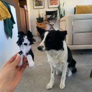 James added a photo of their purchase