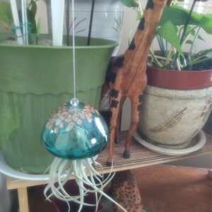 Hand Blown Art Glass Jellyfish with Life Air Plant/Tillandsia | Etsy