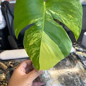 Bunnary added a photo of their purchase