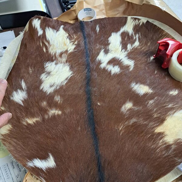 14 Handcrafted Viking-style Goat Skin Drum Shamanic Frame Drum for ...