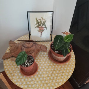 Pauline ha añadido una foto de su compra