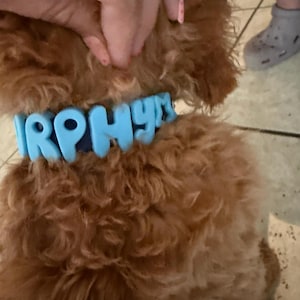 Carrie added a photo of their purchase