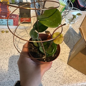 Stephany added a photo of their purchase