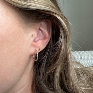 Lauren added a photo of their purchase
