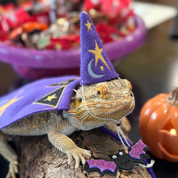 Bearded Dragon Wizard Costume: Felt Cape And/or Hat - Etsy
