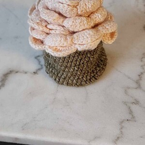 Alexandra heeft een foto van de aankoop toegevoegd