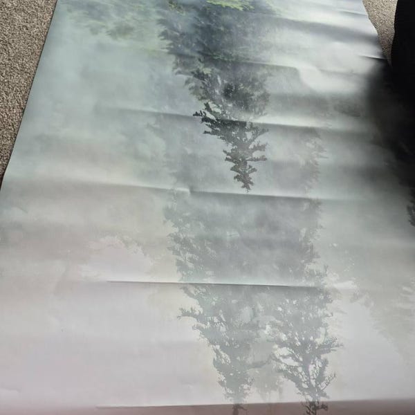 Misty Forest Wallpaper: Peel and Stick Foggy Wall Mural - Etsy