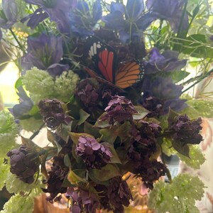 kiwi hat ein Foto des gekauften Artikels hinzugefügt