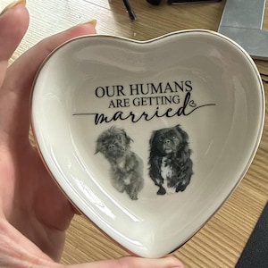 Jodi added a photo of their purchase