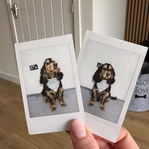 Rosie added a photo of their purchase