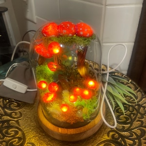 Toni added a photo of their purchase