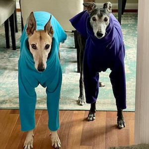 K added a photo of their purchase