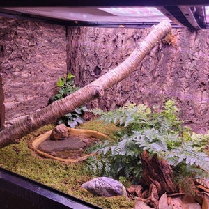 Kevin added a photo of their purchase