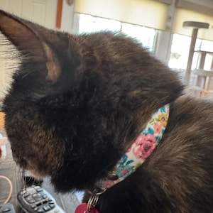 Kathleen ha añadido una foto de su compra