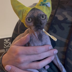 ryan added a photo of their purchase