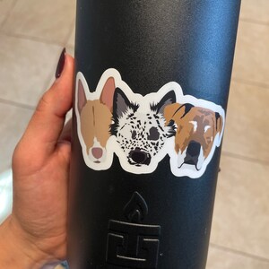 Rae added a photo of their purchase