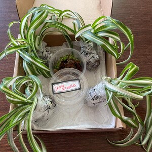 sherry added a photo of their purchase