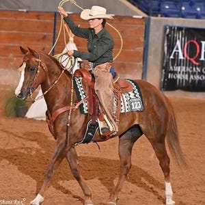Forest Green Pistachio Golden Metallic Show Blanket Newzealand