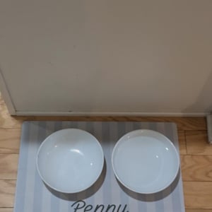 megan heeft een foto van de aankoop toegevoegd