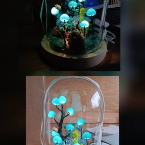 Churin added a photo of their purchase