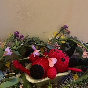 Oakle added a photo of their purchase