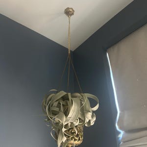 Graham added a photo of their purchase